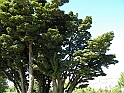 ParcoEuropa_123