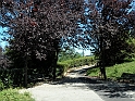ParcoEuropa_126