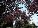 ParcoEuropa_129