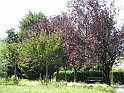 ParcoEuropa_132