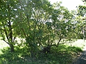 ParcoEuropa_133