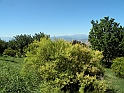 ParcoEuropa_136