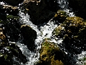 ParcoEuropa_147