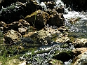 ParcoEuropa_148