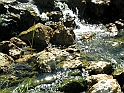 ParcoEuropa_149