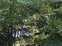 ParcoEuropa_163