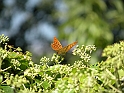 ParcoEuropa_164