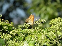 ParcoEuropa_165
