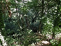 ParcoEuropa_168