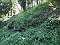 ParcoEuropa_169
