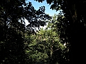 ParcoEuropa_172