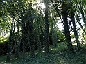 ParcoEuropa_173