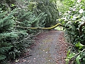 ParcoEuropa_061