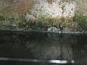 Sacra2_124