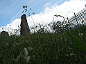 Sacra2_131
