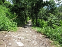 Sacra2_208