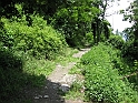 Sacra2_209