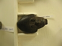 Egizio3_026
