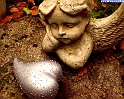 cuore_6