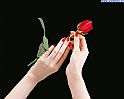 mani_28