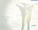 matrimonio_24