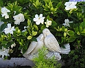 matrimonio_9
