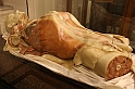 10AnniAnatomiaFrutta_61