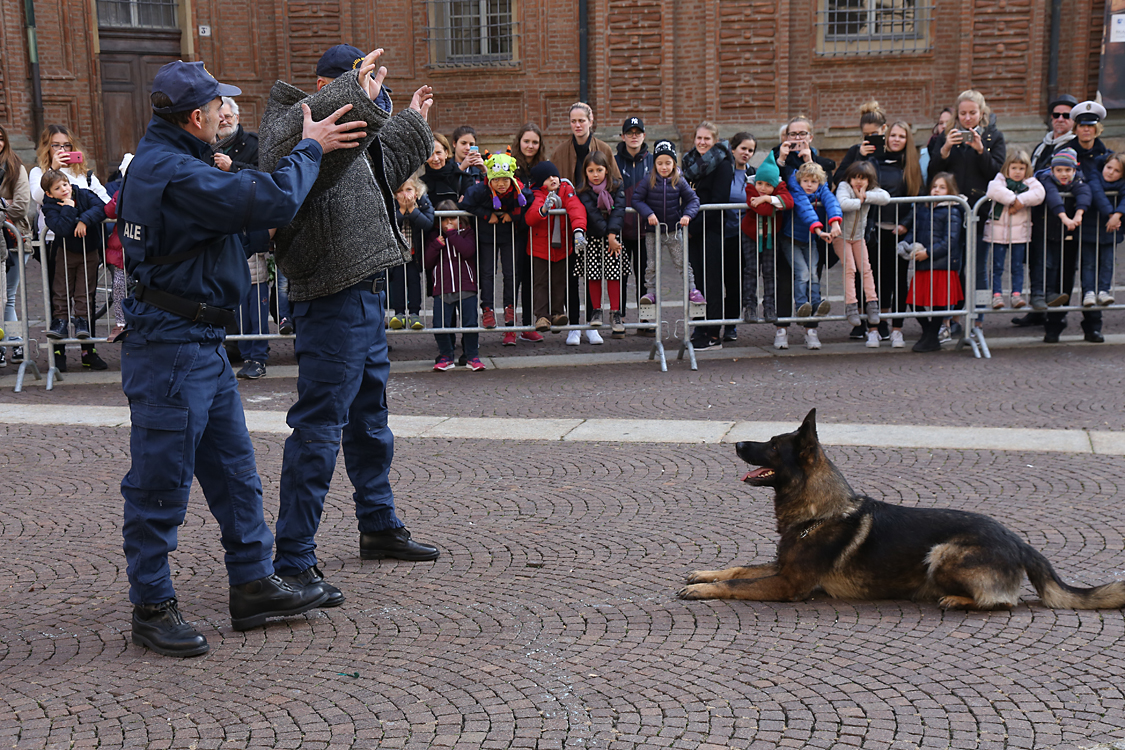 225PoliziaMunicipale_200.jpg