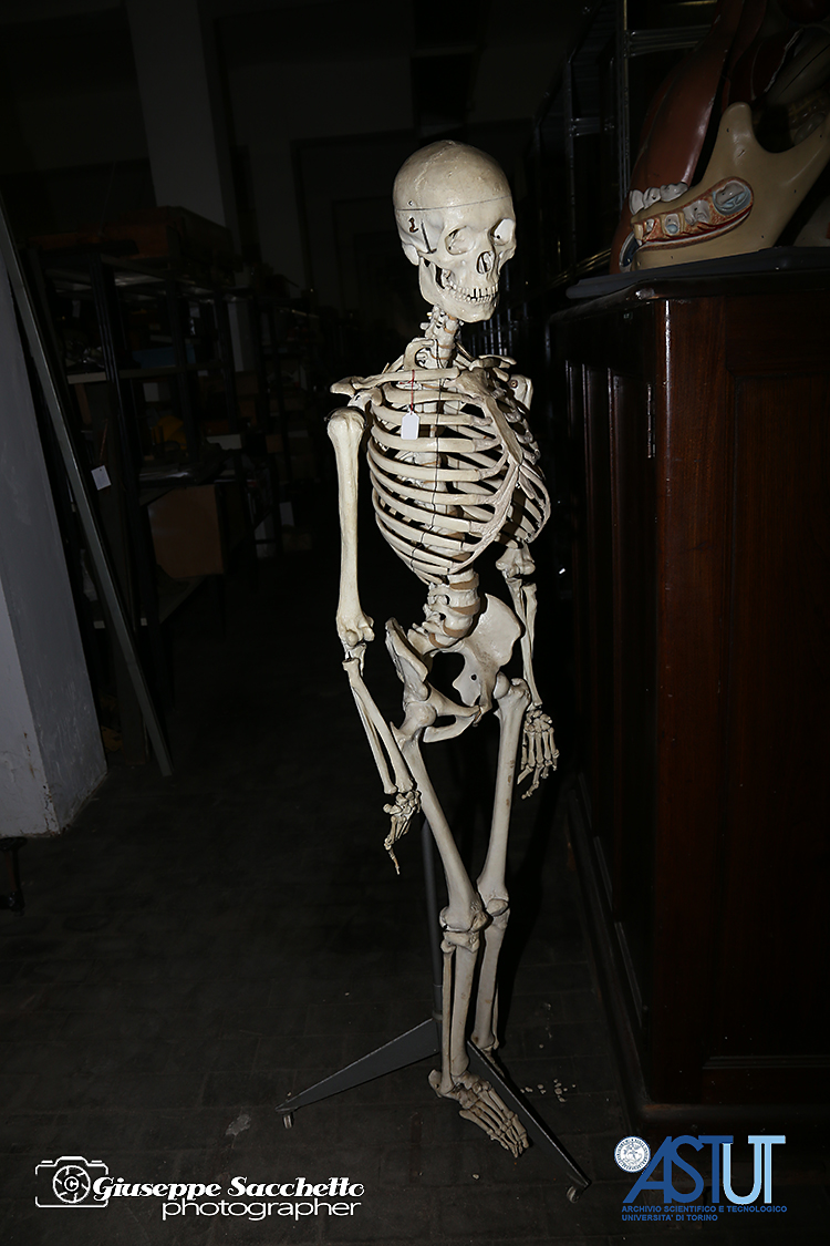 ASTUT_150.jpg