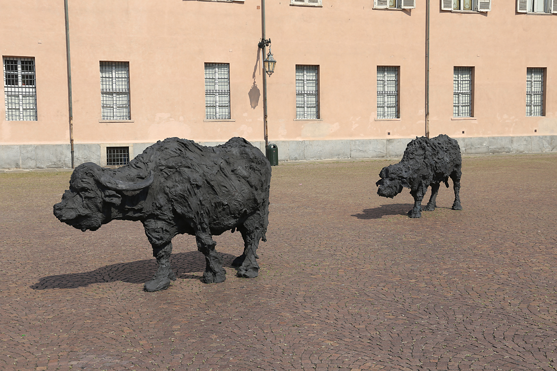 ArteAlleCorti_033.jpg - Davide RIVALTA - Bufale mediterranee - Palazzo Reale