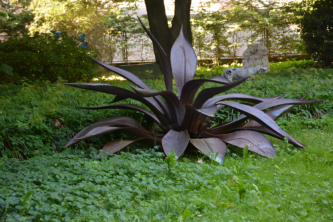 DSC_3421.JPG - Palazzo Cisterna - Nicola BOLLA - Agave, 2000