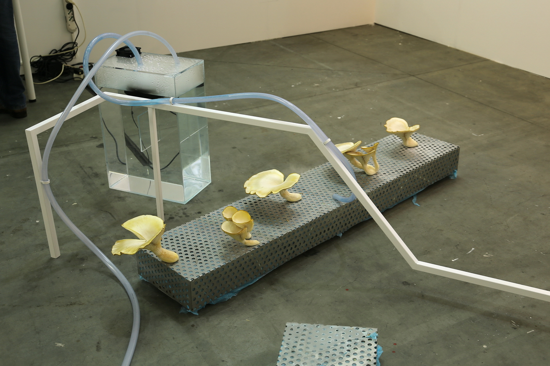 Artissima_059.JPG