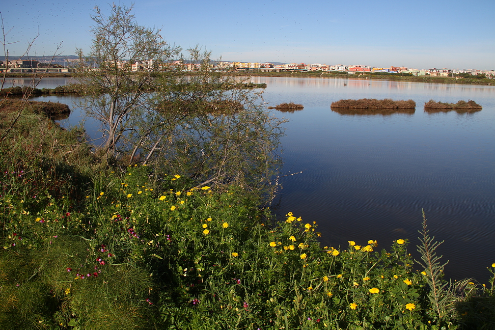 Augusta_158.JPG - Augusta - Le saline