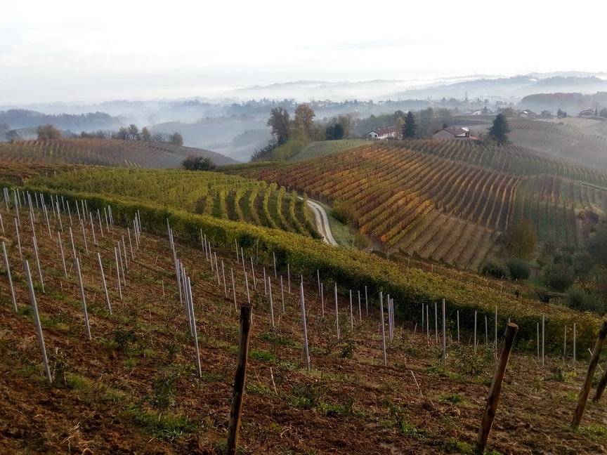 Autunno_13.jpg