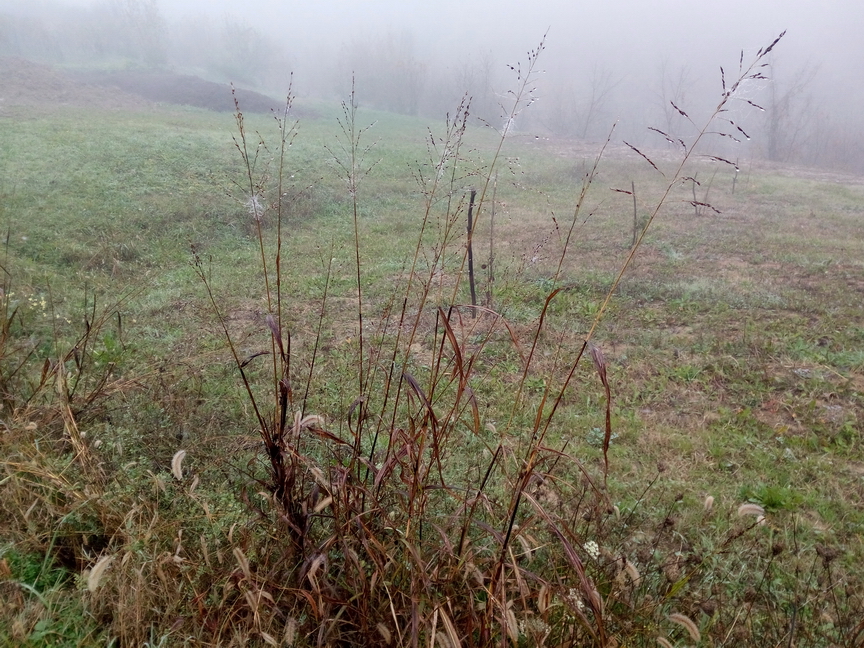 Autunno_17.jpg