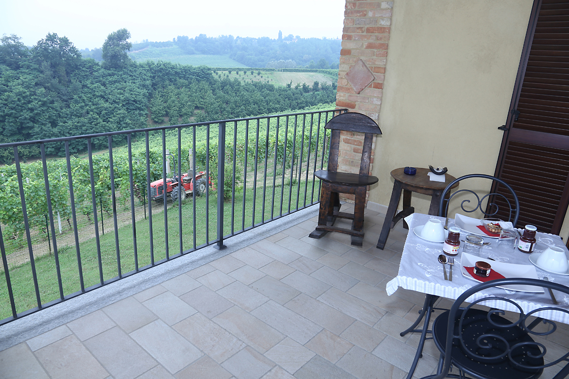 CàColomba_70.jpg - Terrazzo Una nutriente colazione ricca di prodotti tipici può essere consumata sul bellissimo terrazzo che offre una splendida ed invidiabile vista sulle colline Alfieri. 