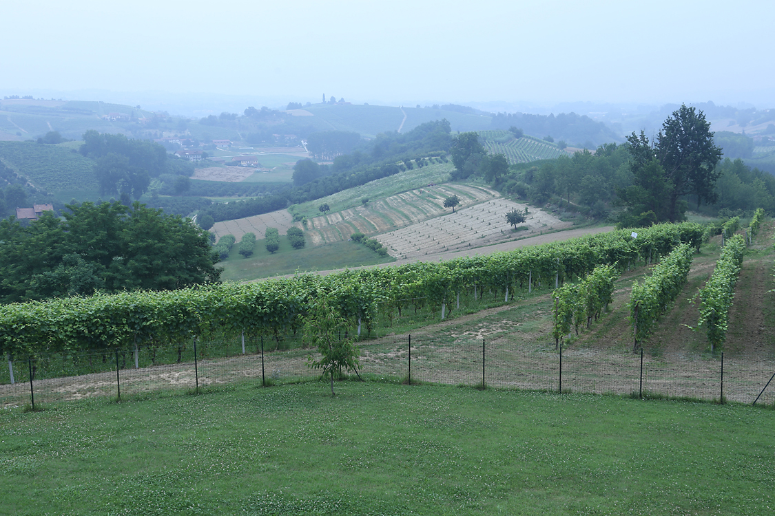 CàColomba_74.jpg - Agriturismo Cà Colomba - San Damiano d'Asti - Veduta sulle colline circostanti