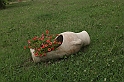 CàColomba_72