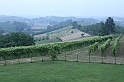 CàColomba_74