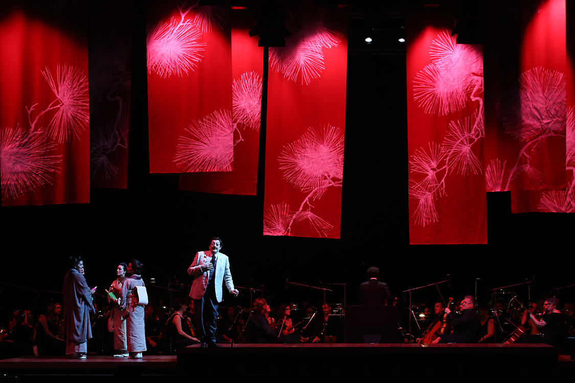 MadamaButterfly_059.jpg