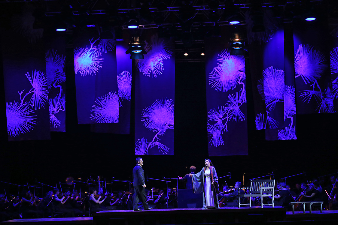 MadamaButterfly_084.jpg