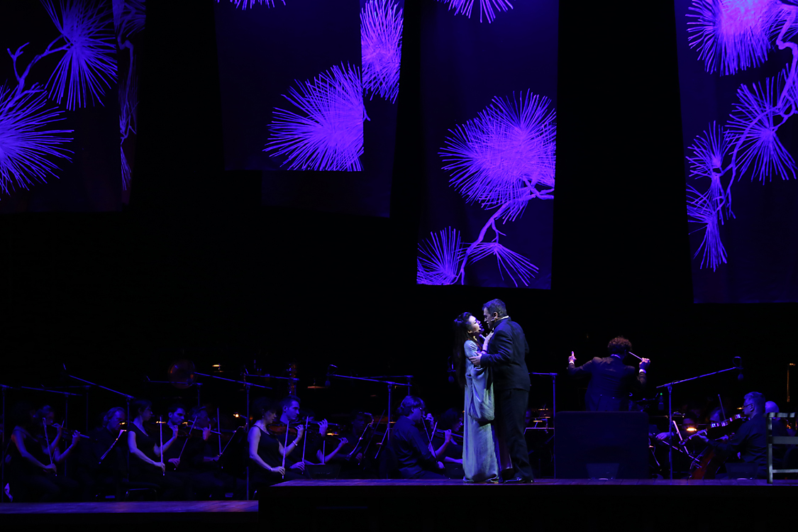 MadamaButterfly_087.jpg