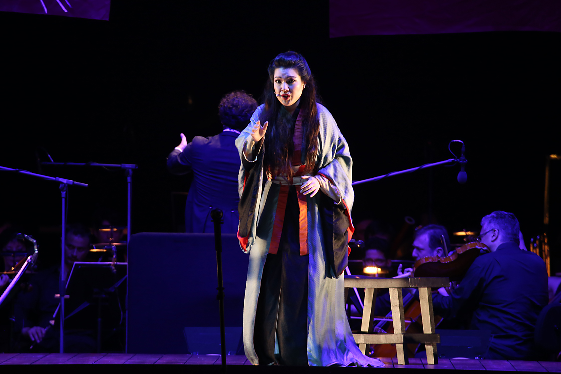 MadamaButterfly_120.jpg