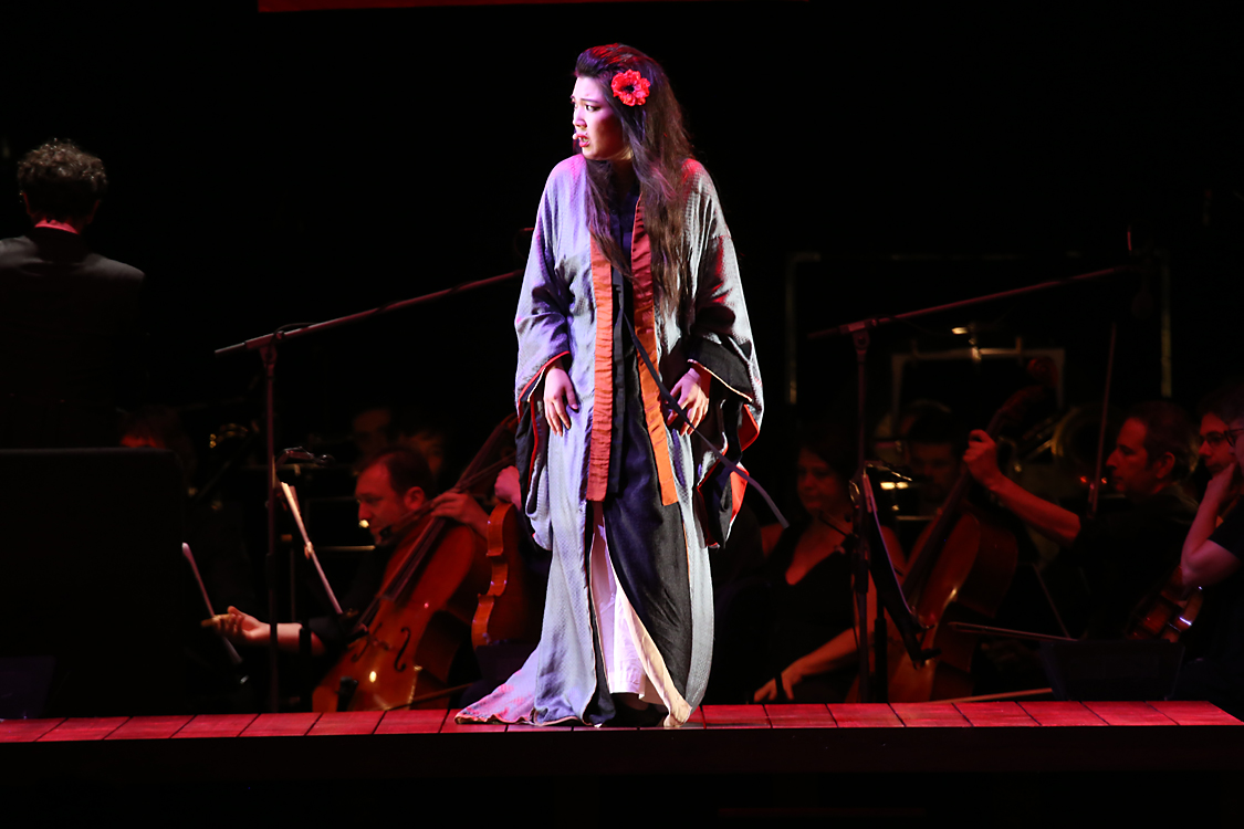 MadamaButterfly_208.jpg