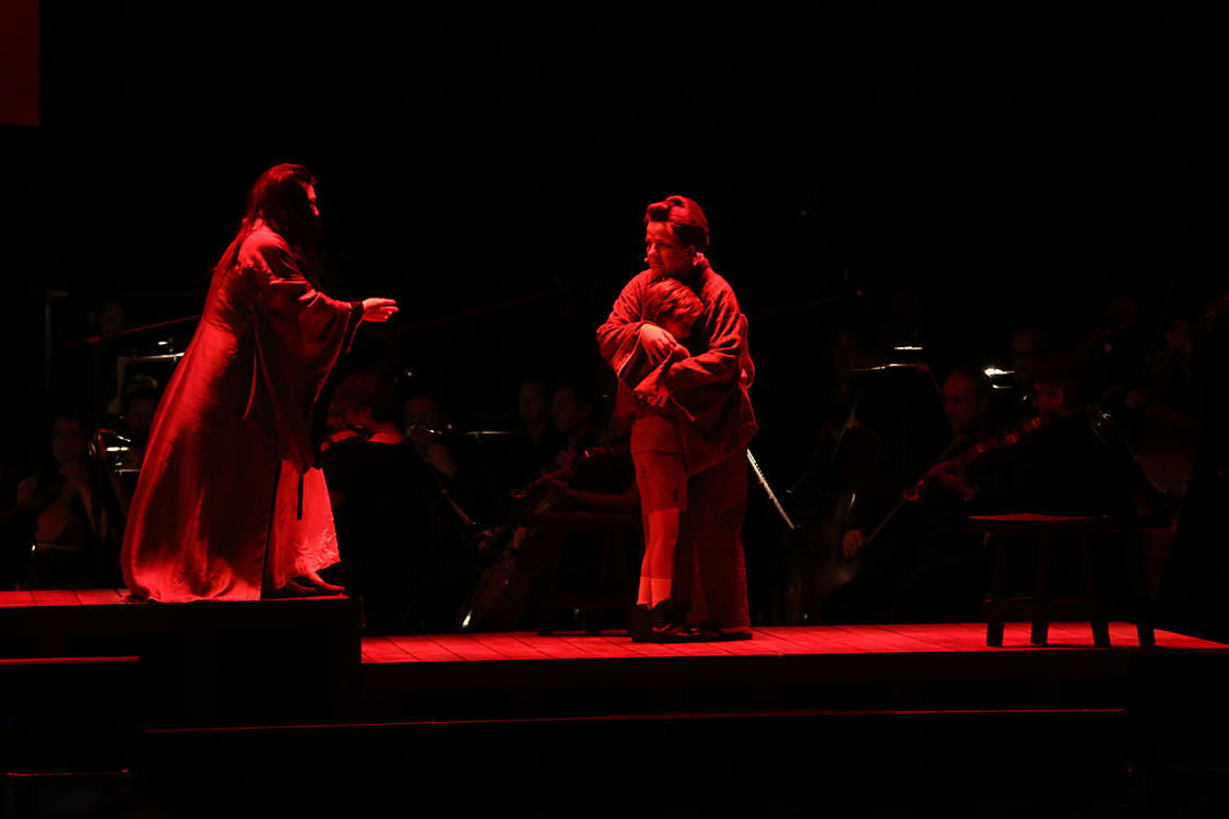 MadamaButterfly_240.jpg
