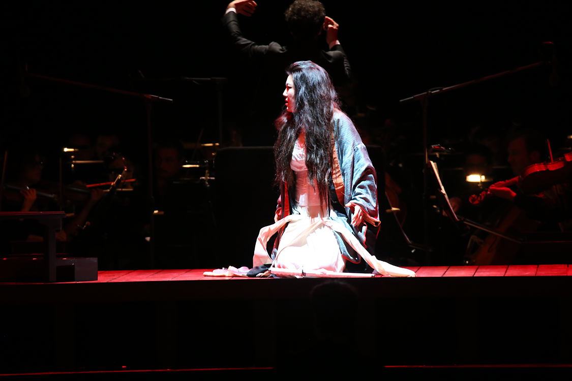 MadamaButterfly_244.jpg