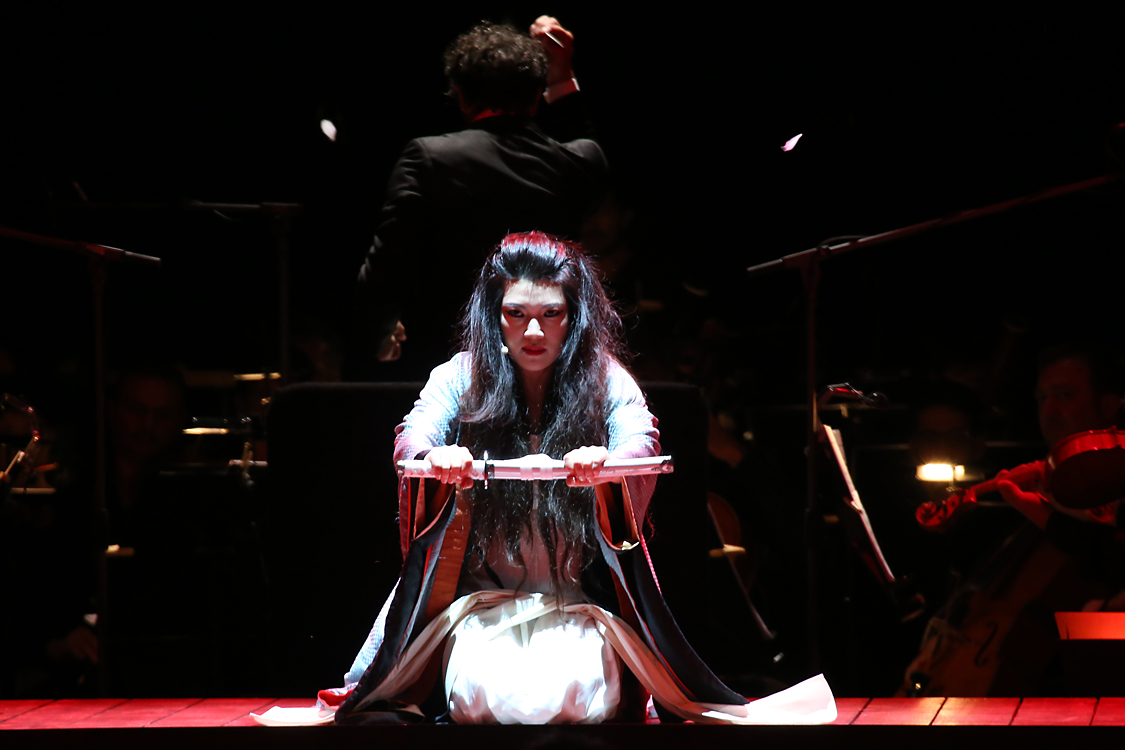 MadamaButterfly_245.jpg
