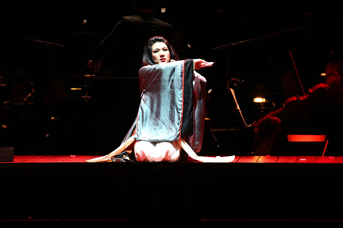 MadamaButterfly_256.jpg