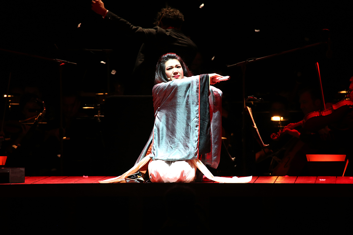 MadamaButterfly_257.jpg