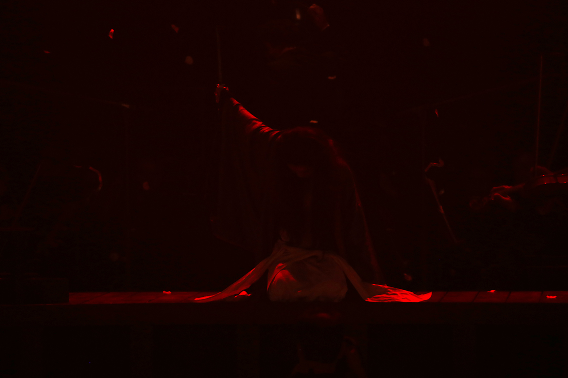 MadamaButterfly_259.jpg